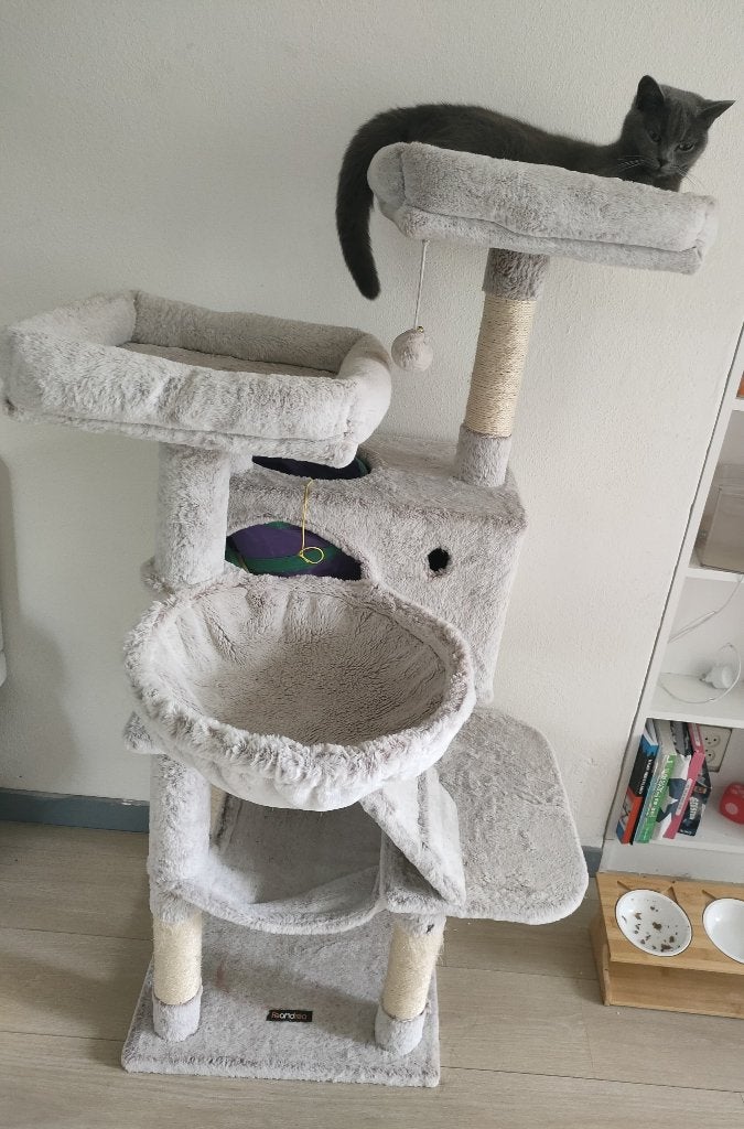 Katten krab toren, Dieren en Toebehoren, Ophalen, Gebruikt, Krabpaal