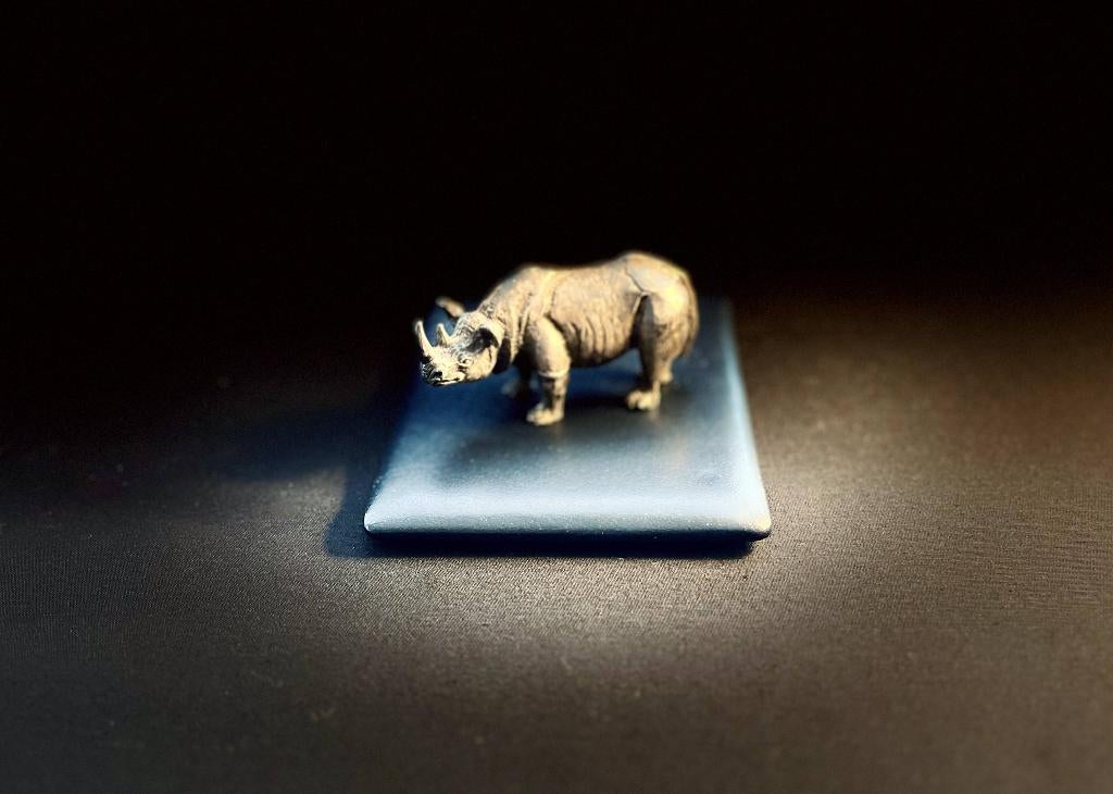 Te koop Een kleine bronzen neushoorn., Antiek en Kunst, Ophalen of Verzenden, Brons