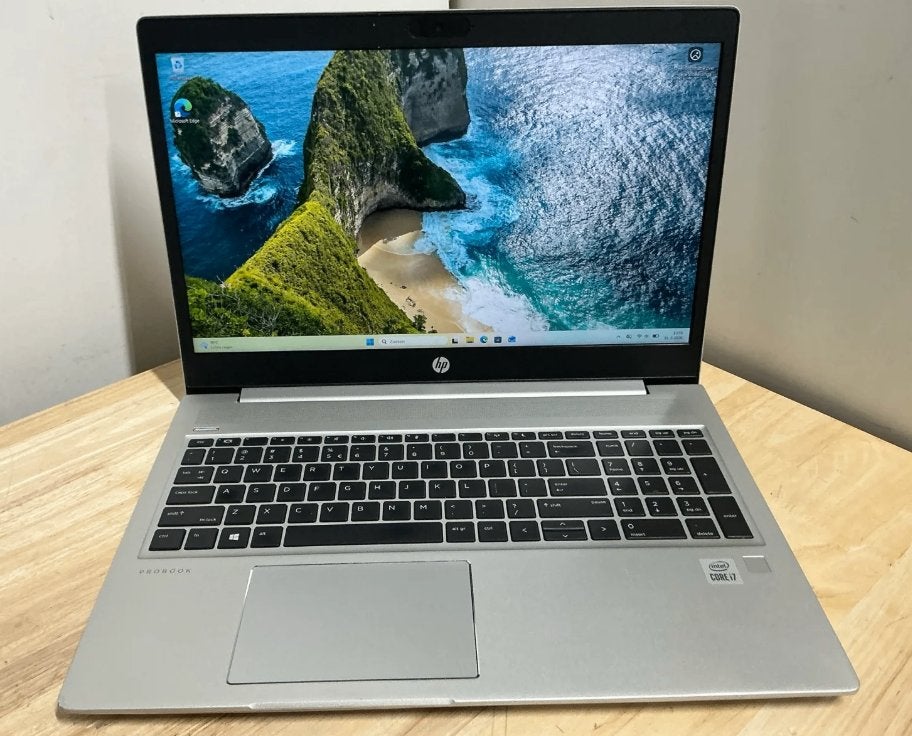 495 | HP ProBook 450 G7 i7 10e Gen 16GB 256GB SSD Win11 Pro, Computers en Software, Gebruikt, 2 tot 3 Ghz, 15 inch, Ophalen of Verzenden