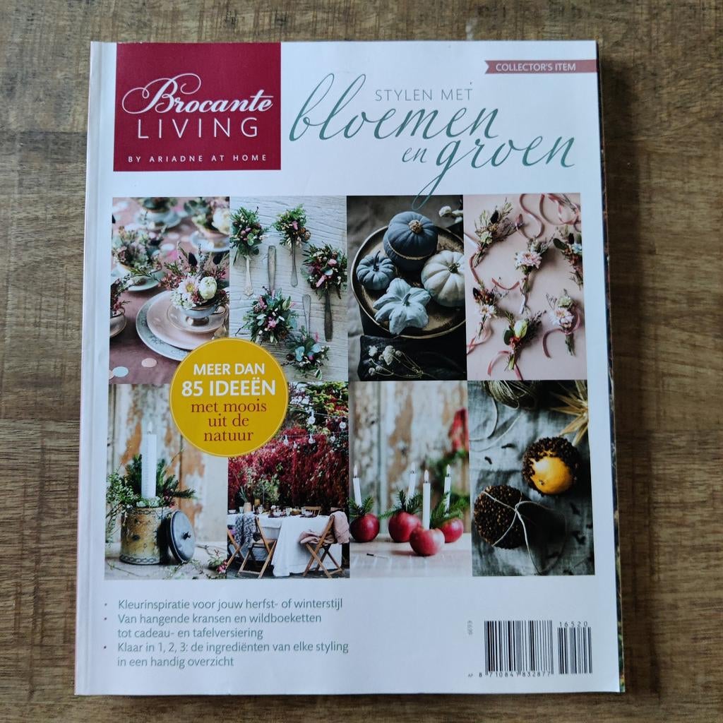 Brocante Living  Stylen met Bloemen en Groen, Ophalen of Verzenden, Zo goed als nieuw, Damesbladen