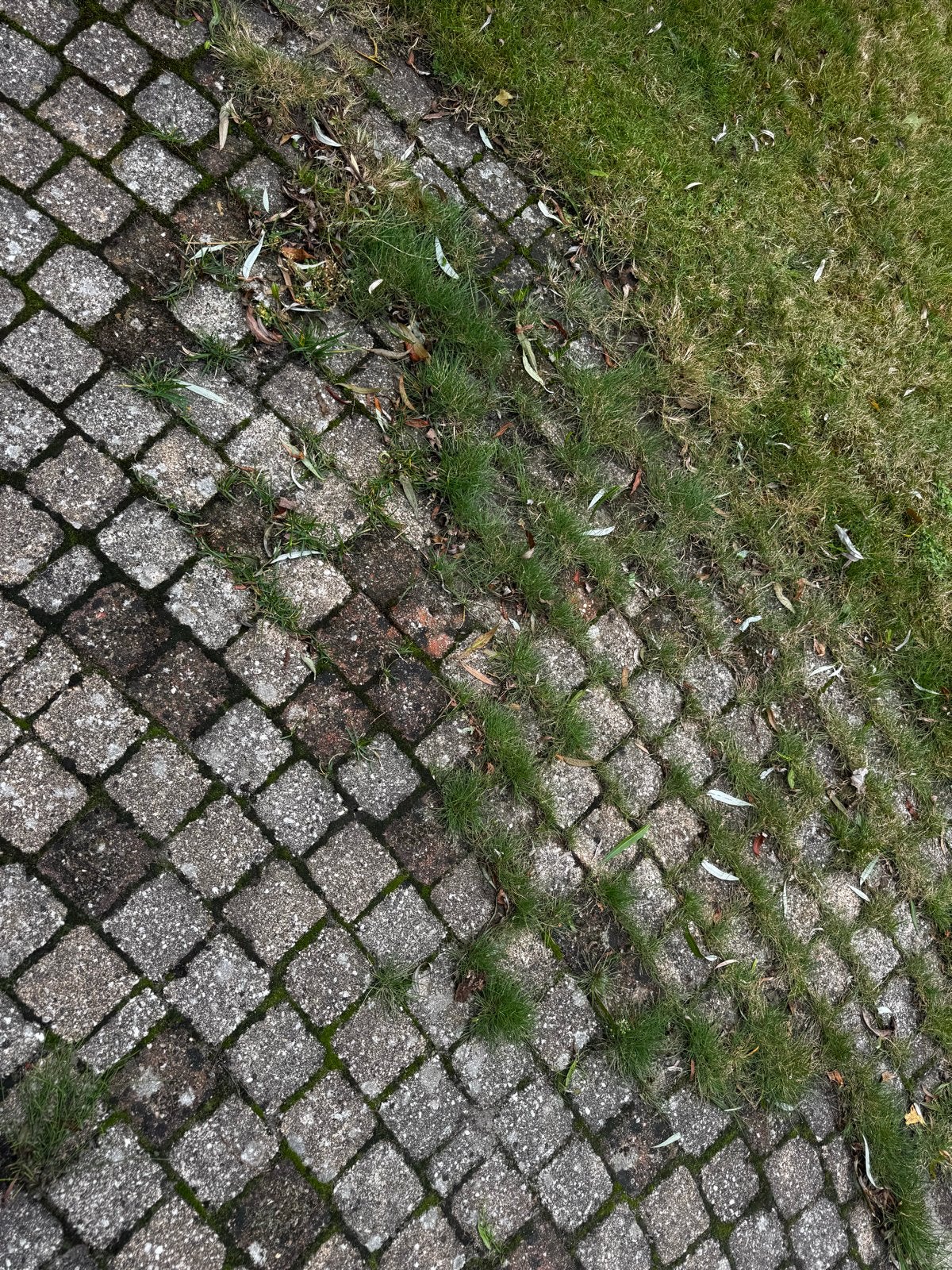10x10x6 cm grind-/betonkeitjes in rood, grijs en geel/beige, Tuin en Terras, Ophalen, Gebruikt, Klinkers, 10 m² of meer