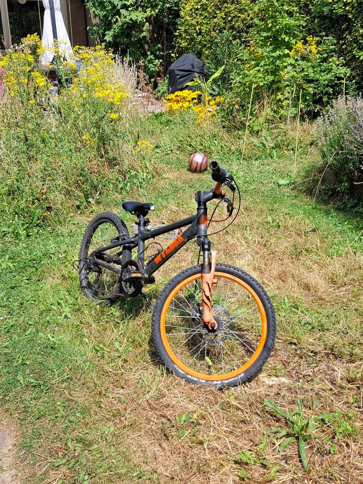 Kinder mountainbike 20 inch - Nieuw zadel, Ophalen of Verzenden, Gebruikt, 20 inch of meer, WYLDER