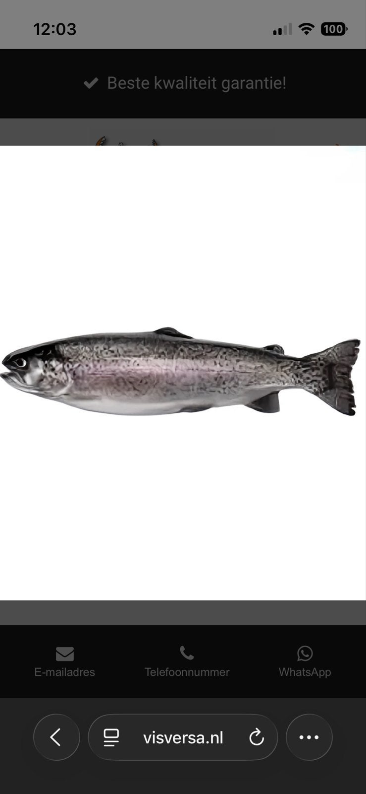 Verse schoongemaakte forel en zalmforel, Ophalen