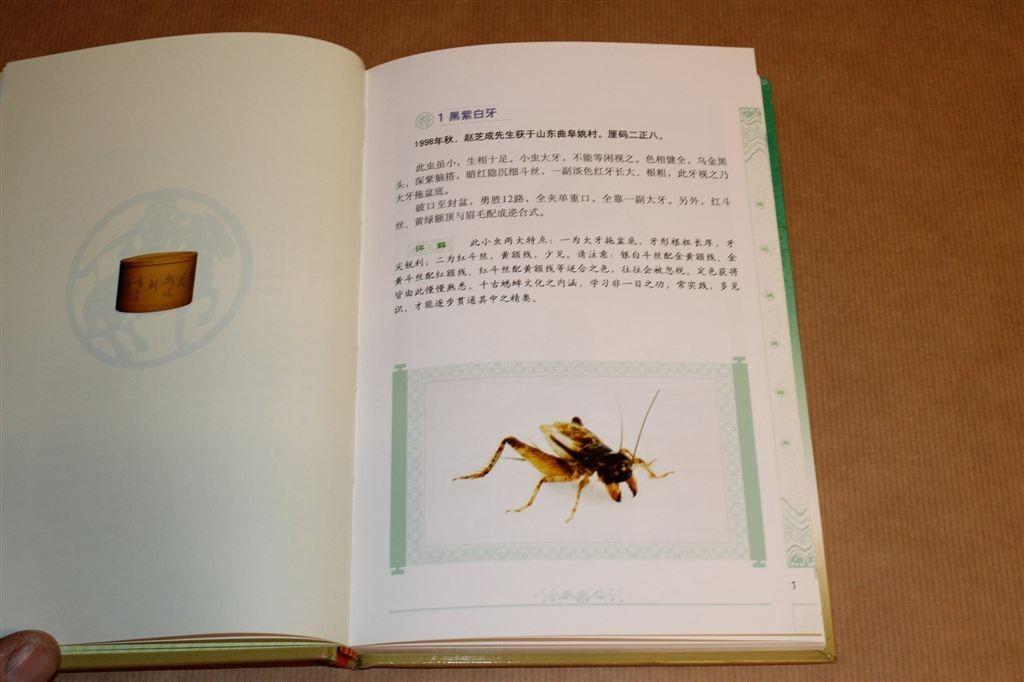 Kampioenskrekels van China — Uniek Verzamelboek, Ophalen of Verzenden, Zo goed als nieuw, Katten