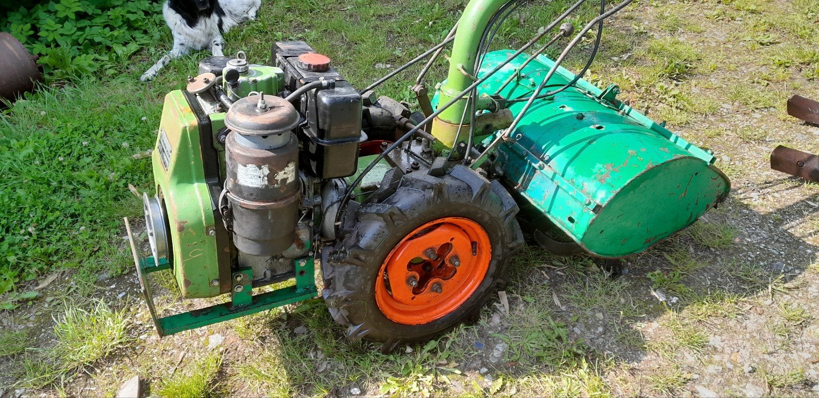 Agria diesel tuinfrees met ploeg en cultivator, Gebruikt, Versnellingen, 50 cm of meer, Ophalen