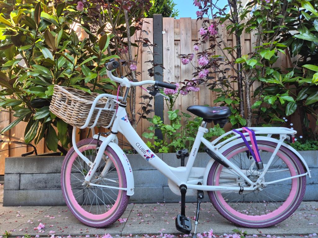 Alpina Clubb Meisjesfiets 20 inch - Wit/Roze, Ophalen
