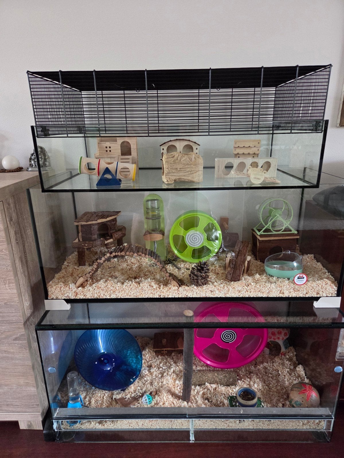 Veel kooien / terrariums / toebehoren voor hamsters, Dieren en Toebehoren, Knaagdieren en Konijnen | Hokken en Kooien, Kooi, 60 tot 90 cm