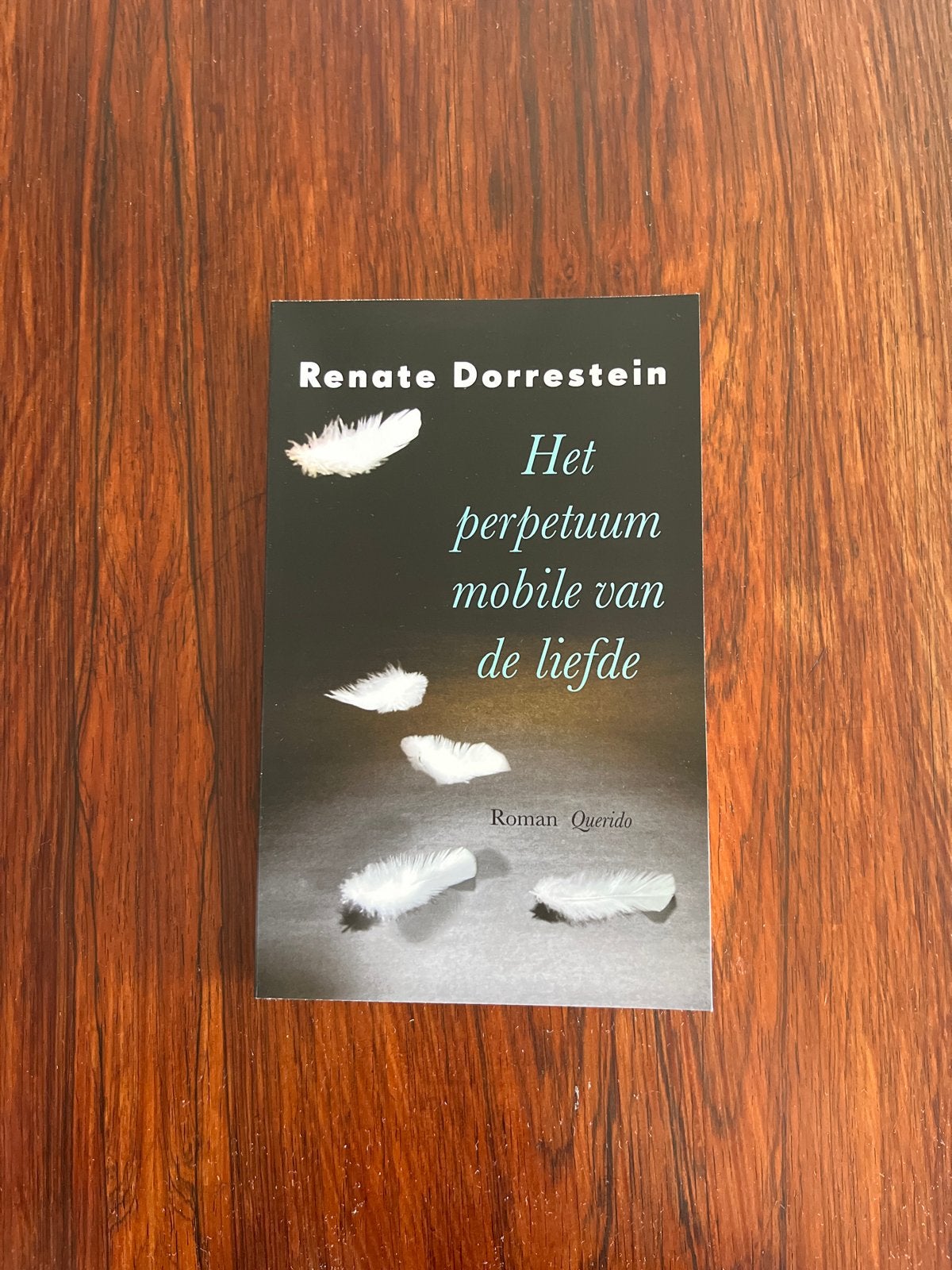 Het perpetuum mobile van de liefde - Renate Dorrestein, Ophalen of Verzenden, Gelezen, Nederland
