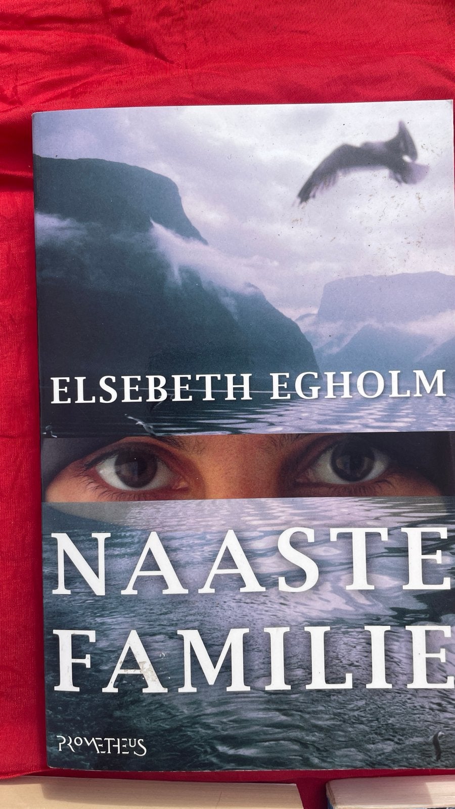 Elsebeth Egholm - Naaste Familie (Thriller), Ophalen of Verzenden, Gelezen