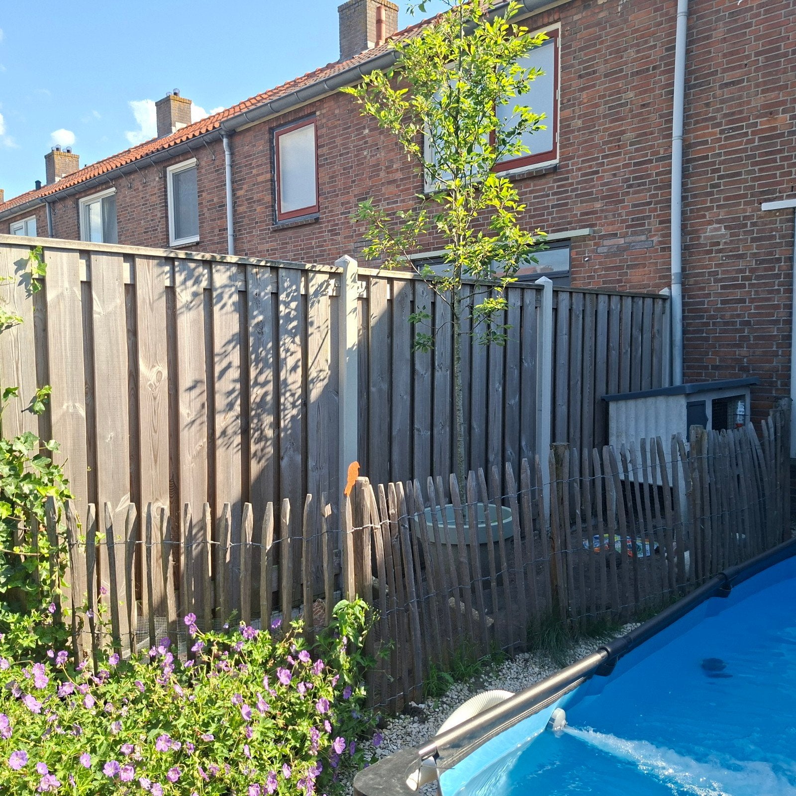 Houten tuinhek met poortje, Tuin en Terras, Met poort, Ophalen of Verzenden, Zo goed als nieuw, Tuinhek