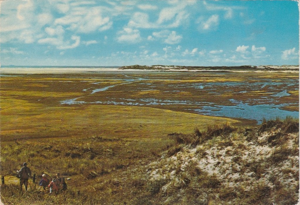 TEXEL De Slufter (Rechte Rand), Verzenden, 1960 tot 1980, Gelopen, Waddeneilanden