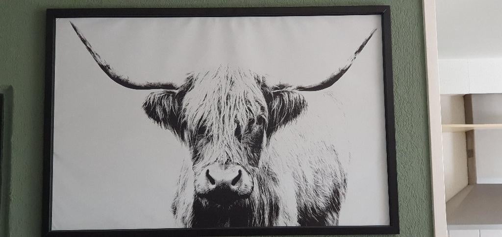 Canvas doek schotse hooglander, Ophalen, Zo goed als nieuw, Schilderij, 100 tot 125 cm