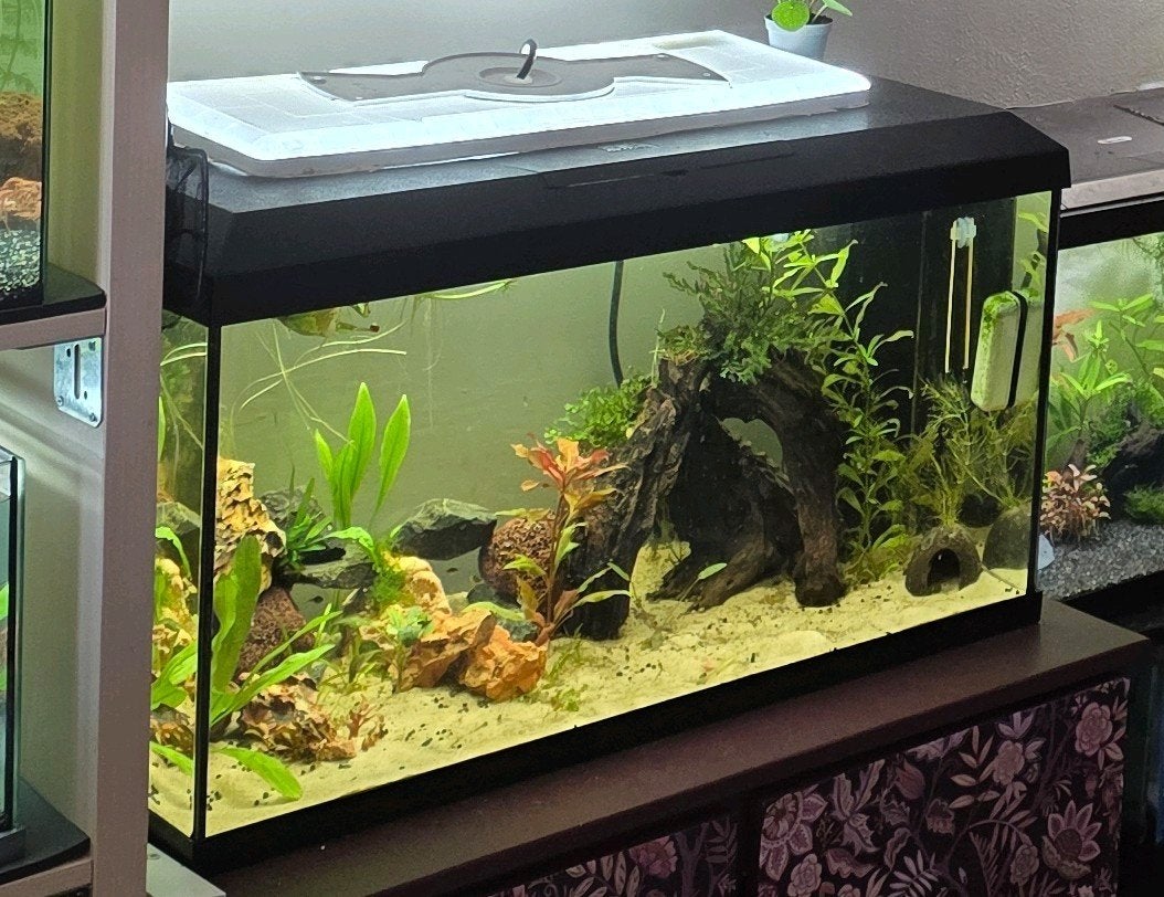 Jewel Aquarium 110Liter 80cm, Dieren en Toebehoren, Inclusief deksel, Ophalen of Verzenden, Zo goed als nieuw, Leeg aquarium