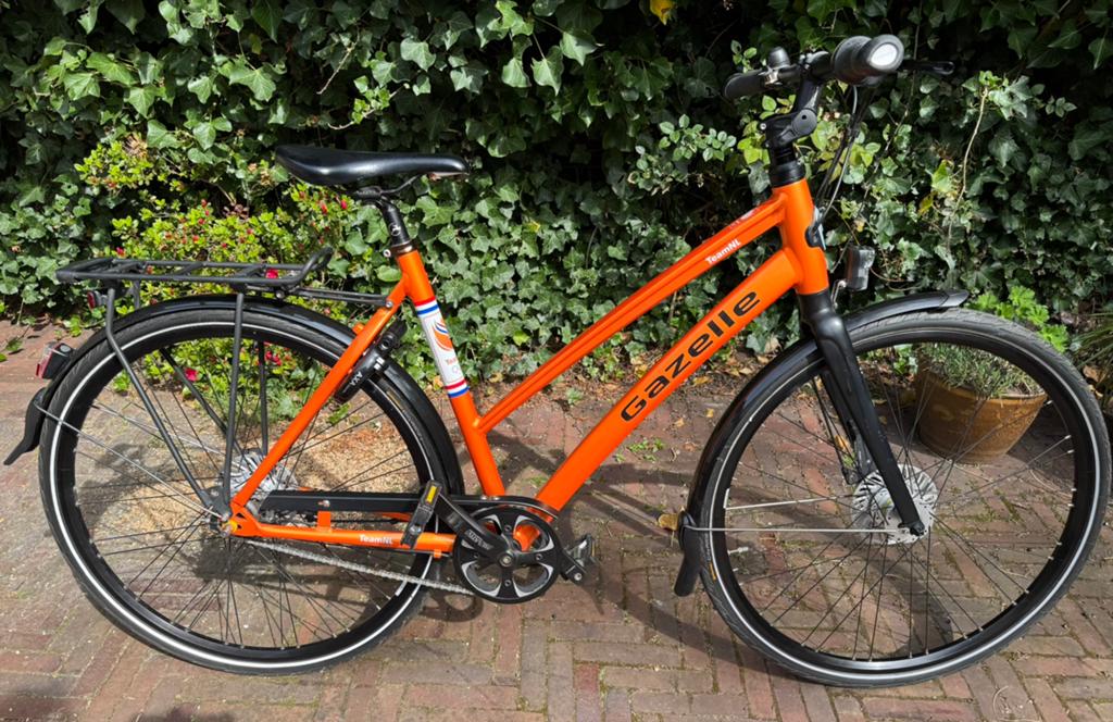 Gazelle Esprit Cityzen c7 frame 53 team nl collectors item, Ophalen, Minder dan 10 versnellingen, 53 tot 56 cm, Zo goed als nieuw