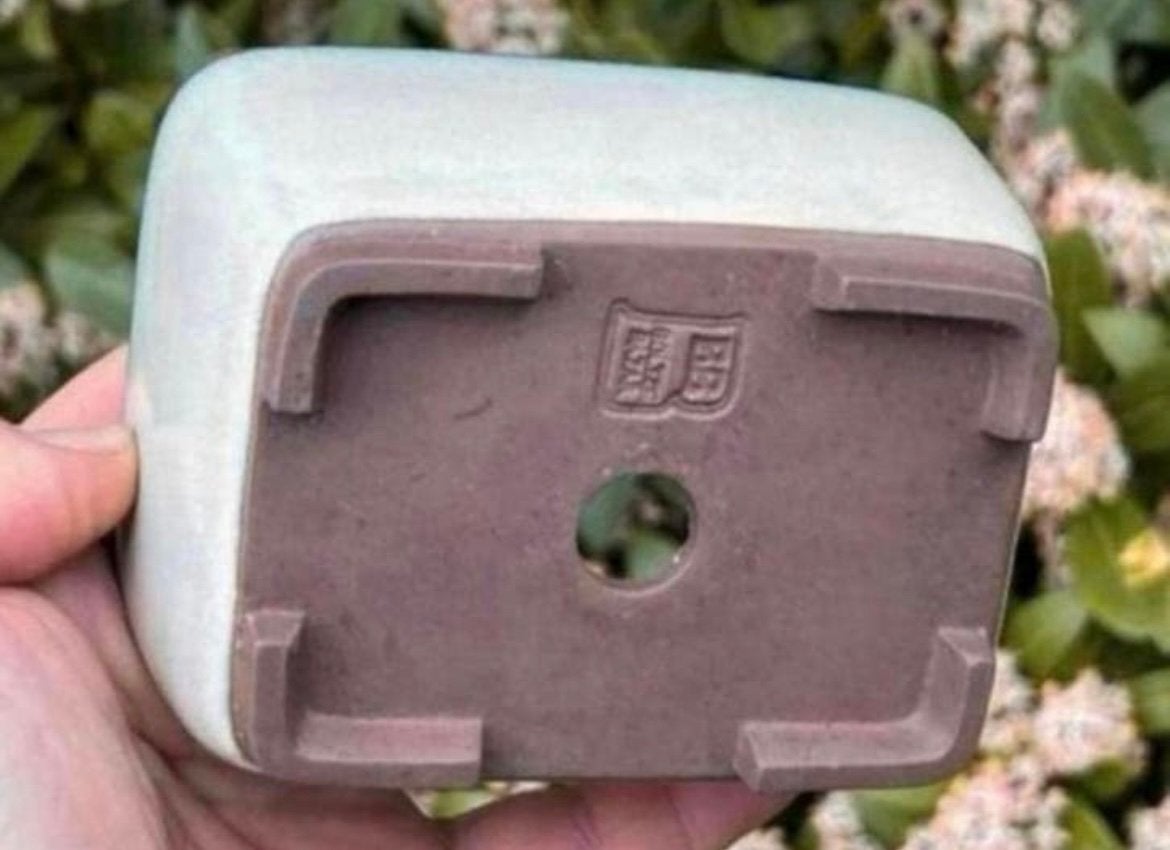 Bonsai schaal crème geglazuurd gemerkt Japans 11,6x8,9x5,8, Ophalen of Verzenden, Zo goed als nieuw, Aardewerk, Rechthoekig