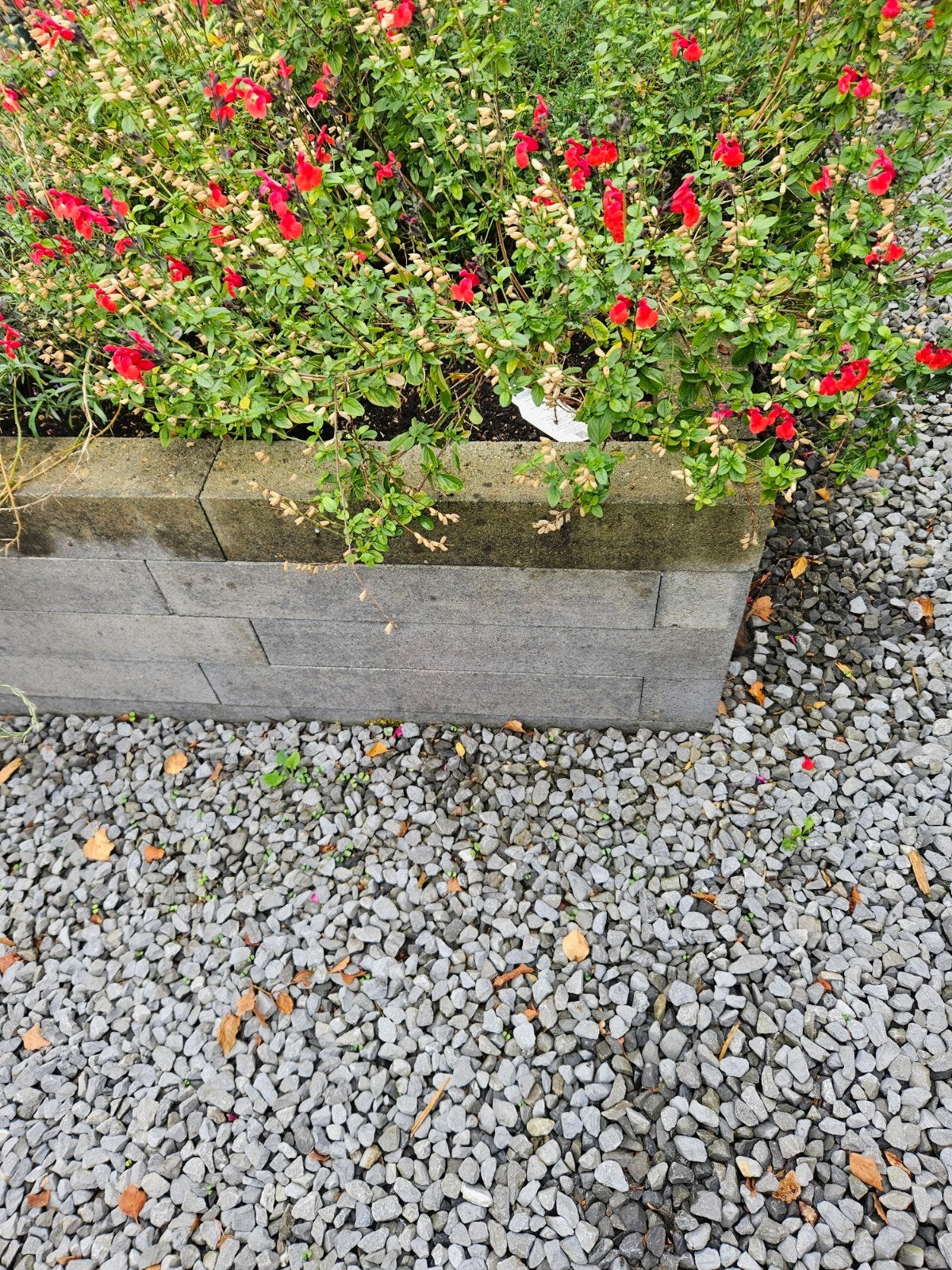 3 stenen bakken, Tuin en Terras, Bielzen en Borders, Ophalen, Gebruikt, Minder dan 100 cm, Minder dan 25 cm