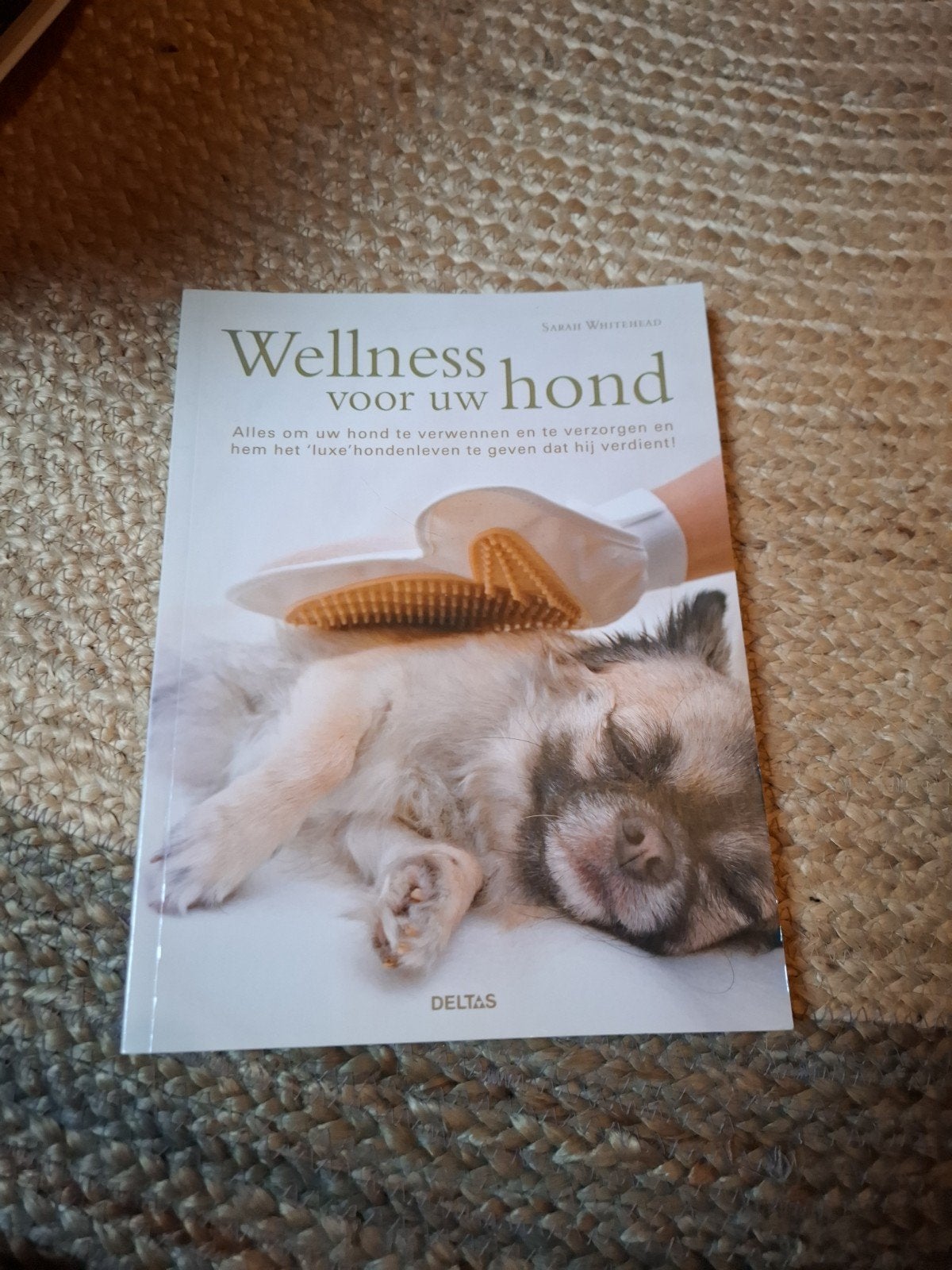 Wellness voor uw hond - Boek over hondenverzorging, Ophalen of Verzenden, Gelezen, Honden, Sarah Whitehead