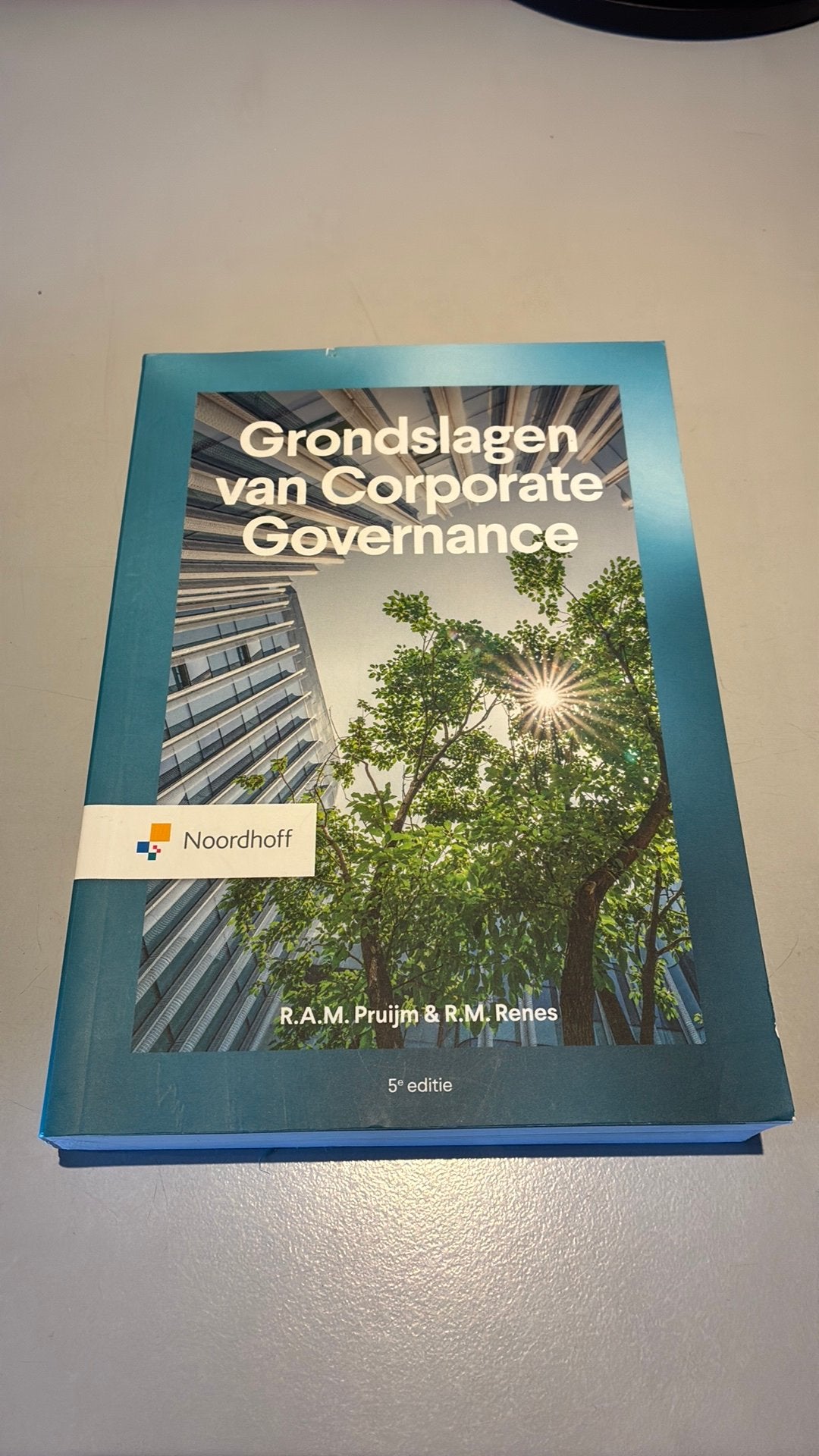 R. Renes - Grondslagen van corporate governance - ZGAN, Zo goed als nieuw, Gamma, R. Renes; R. Pruijm, HBO
