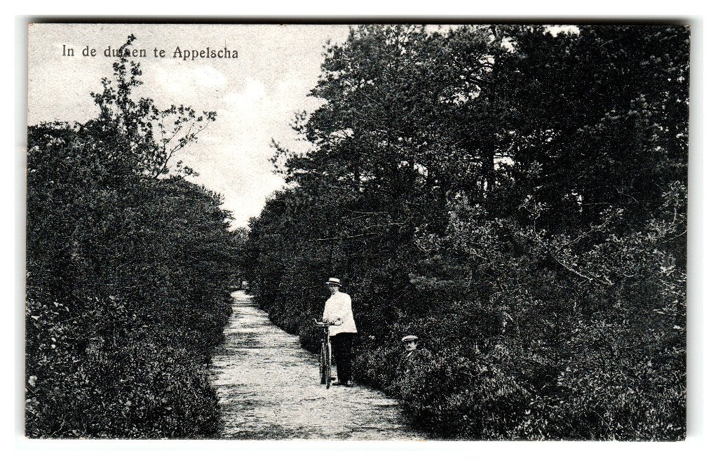 Appelscha, In de duinen te Appelscha, Verzamelen, Ansichtkaarten | Nederland, Gelopen, Friesland, 1920 tot 1940, Verzenden
