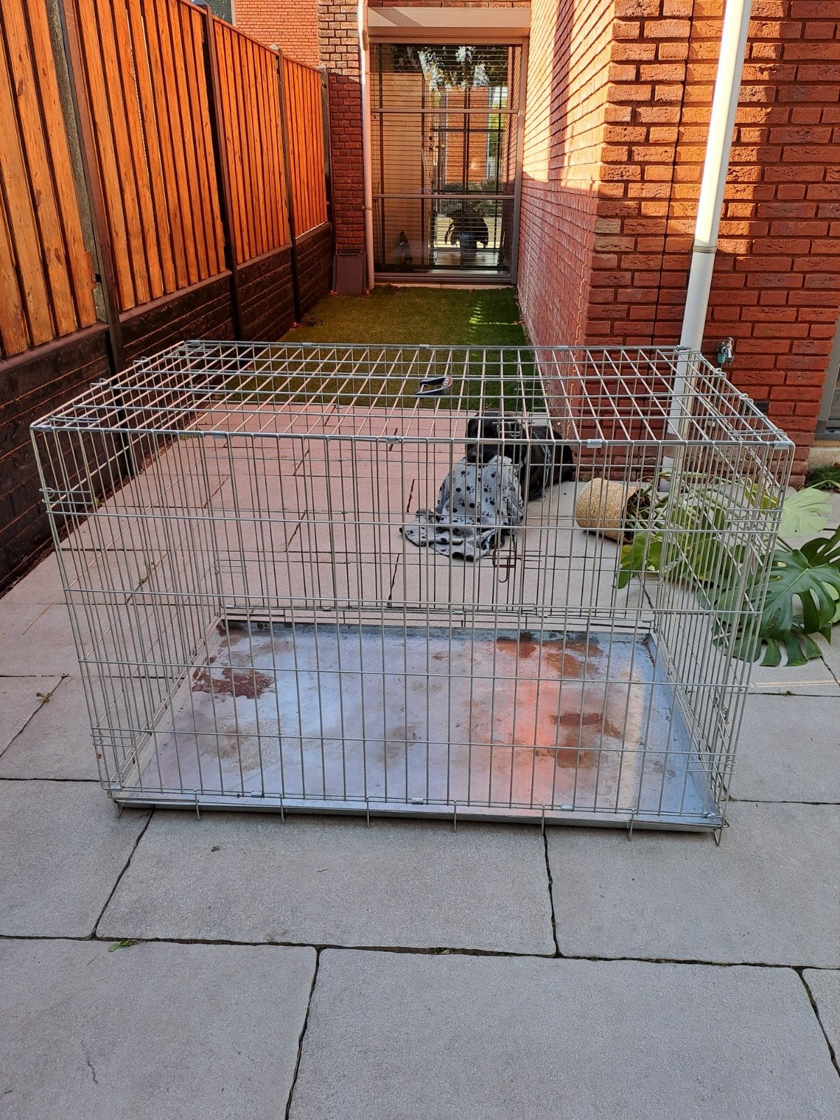 Grote hondenbench, Dieren en Toebehoren, Ophalen, Gebruikt