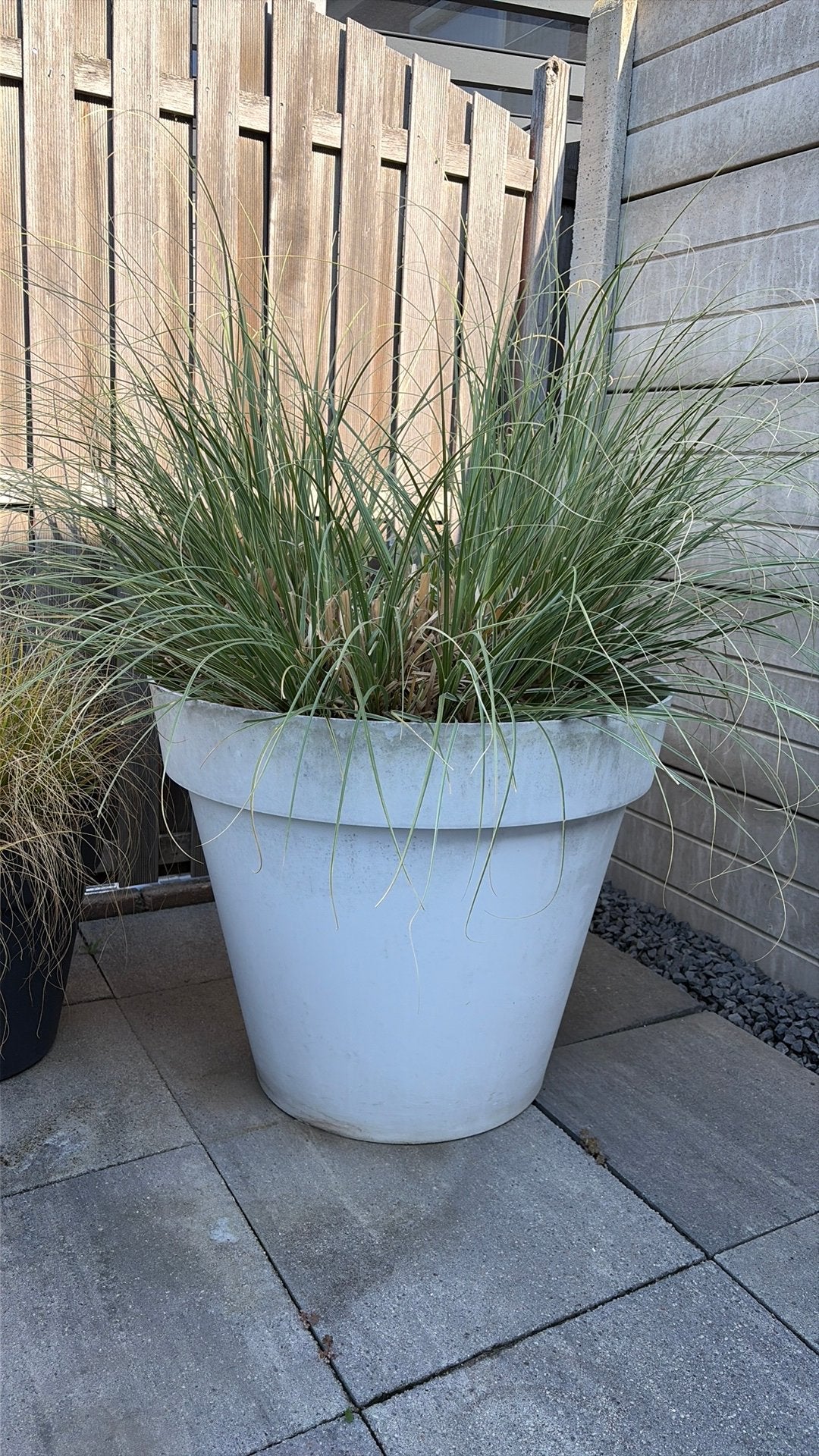 Gratis ophalen grote witte bak en plant, Tuin en Terras, Bloembakken en Plantenbakken, Ophalen, Kunststof, Gebruikt, Rond