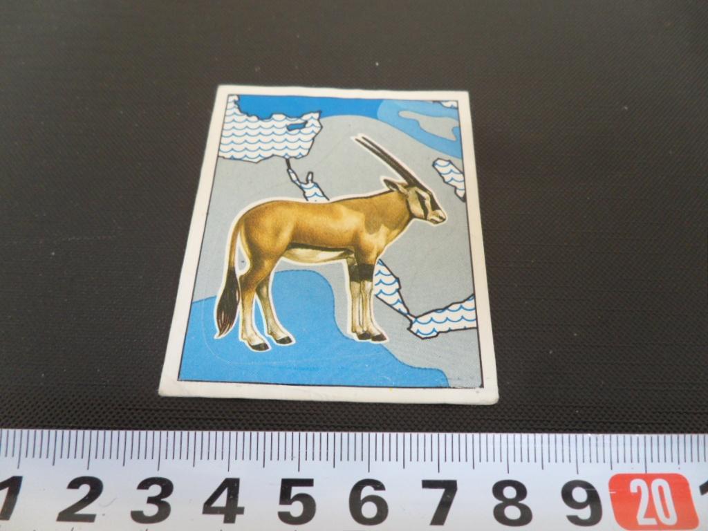 sticker PANINI  WWF Nature in danger 19, Ophalen, Zo goed als nieuw