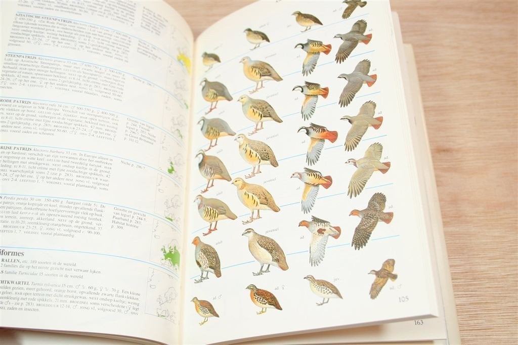 Vogels van Europa — Thieme\'s Natuurgidsen [1988], Ophalen of Verzenden, Gelezen, Vogels