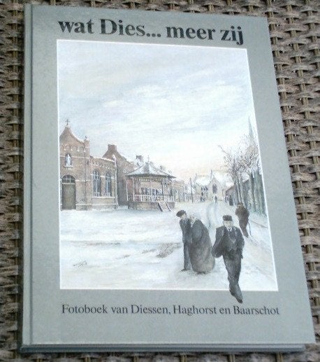 Fotoboek van Diessen, Haghorst en Baarschot. Gust de Vries., Ophalen of Verzenden, Zo goed als nieuw