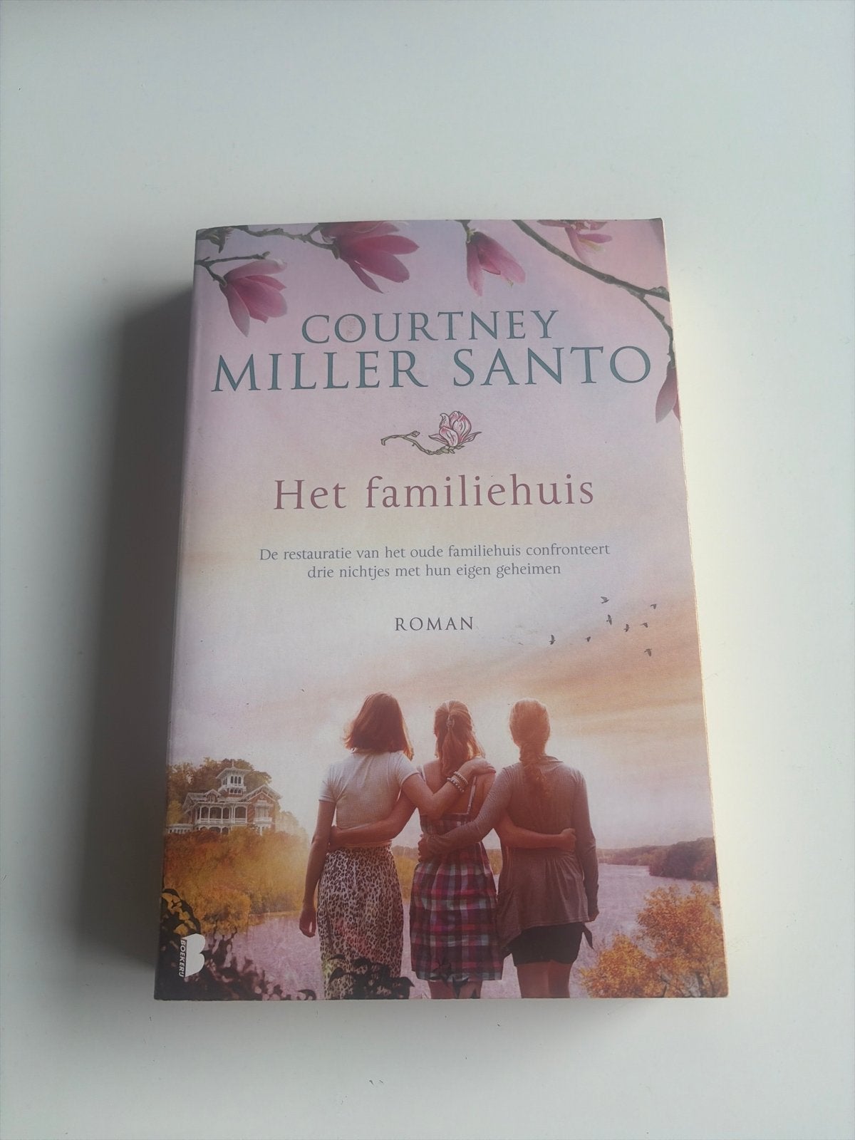 Het familiehuis - Courtney Miller Santo (Roman), Ophalen of Verzenden, Gelezen, Nederland