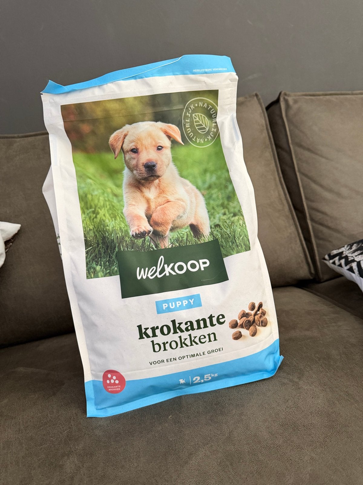 Puppy brokken, Ophalen, Hond