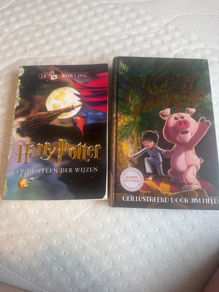 Harry Potter en De Steen der Wijzen & Het Kerstvarken, Boeken, Kinderboeken | Jeugd | 10 tot 12 jaar, Gelezen, Fictie, Ophalen of Verzenden