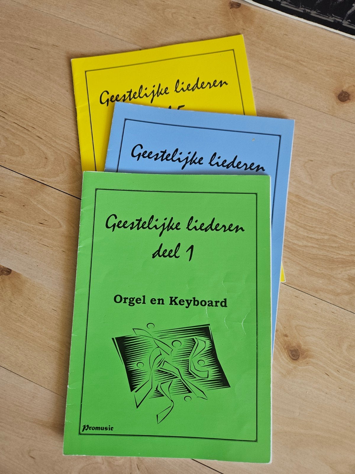 Geestelijke Liederen Orgel en Keyboard - Promusic, Ophalen of Verzenden, Gebruikt, Religie en Gospel, Keyboard