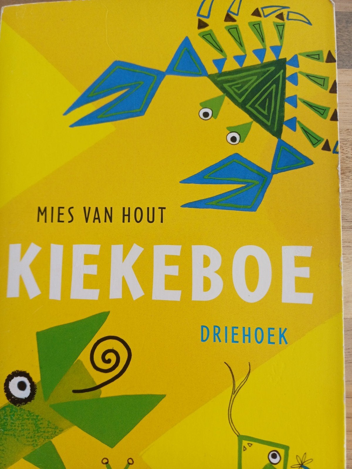 Mies van Hout - Driehoek, Boeken, Ophalen of Verzenden, Zo goed als nieuw, Mies van Hout