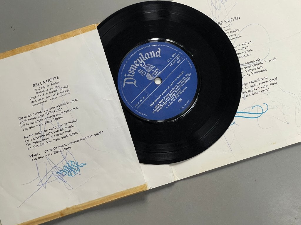 Walt Disney boek + grammafoonplaatje (Lady en Rakker) 1965, Ophalen of Verzenden, Overige figuren, Gebruikt, Overige typen