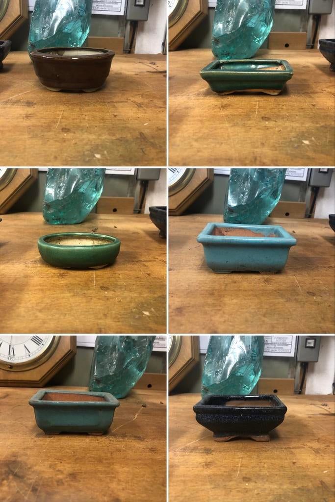 Set van 6 diverse bonsaischaaltjes, Gebruikt, Binnen, Ophalen of Verzenden, Overige vormen