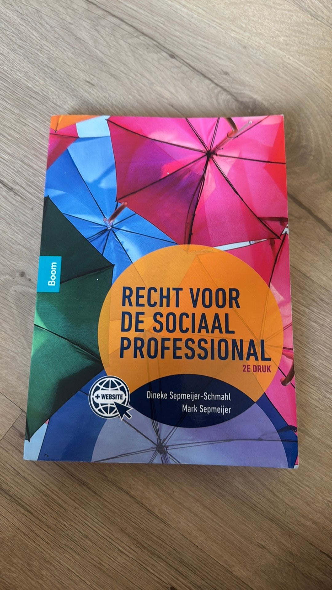 Recht voor de sociaal professional, Boeken, Ophalen of Verzenden, Zo goed als nieuw, Dineke Sepmeijer-Schmahl; Mark Sepmeijer