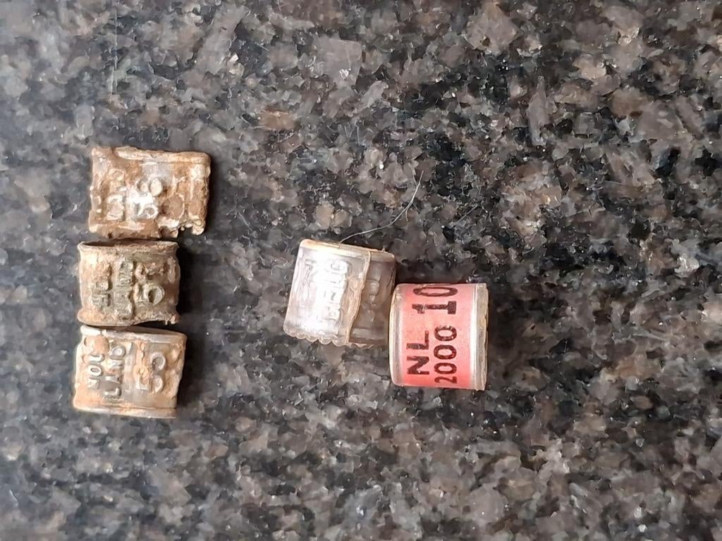 5 x duivenring, Meerdere dieren, Postduif
