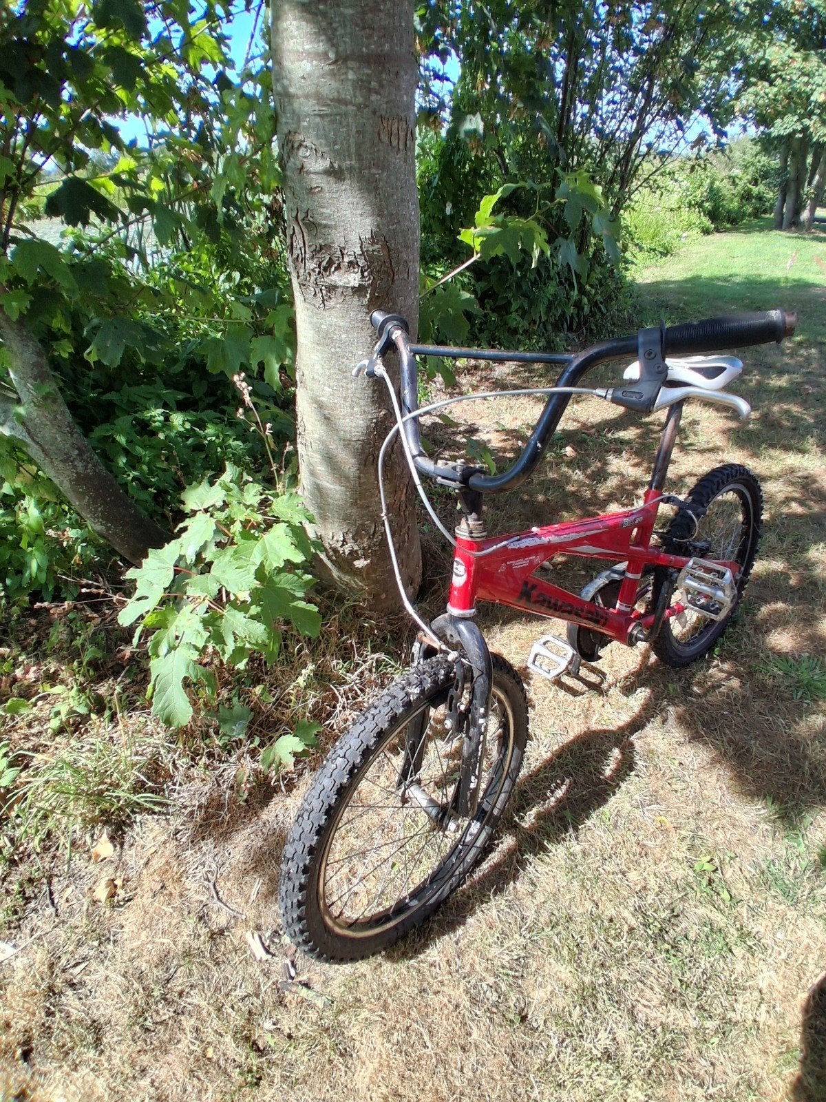 Kawasaki BMX fiets - Rood, 20 inch, Fietsen en Brommers, Fietsen | Crossfietsen en BMX, Ophalen, Staal, Velgrem, Kawasaki