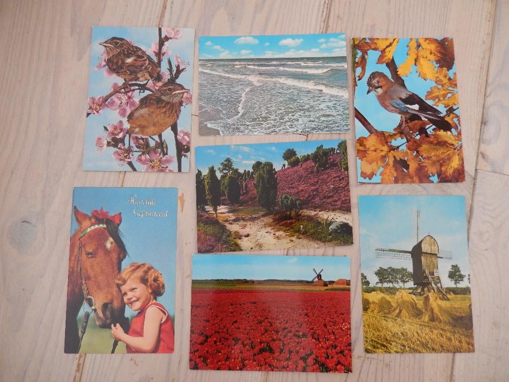 * 7x Holland ansichtkaarten dieren, natuur uit jaren 70 *, Ophalen of Verzenden, 1960 tot 1980, Ongelopen, Noord-Brabant