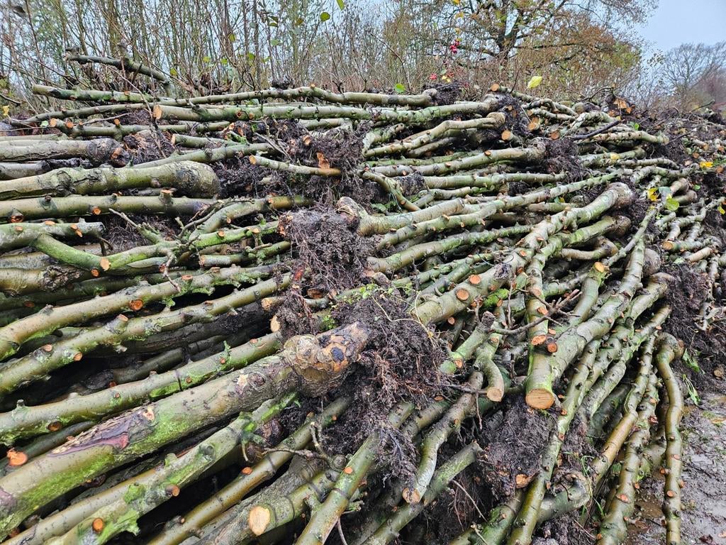 Appel stammen haardhout, Tuin en Terras, Haardhout, Ophalen, Overige houtsoorten, Stammen