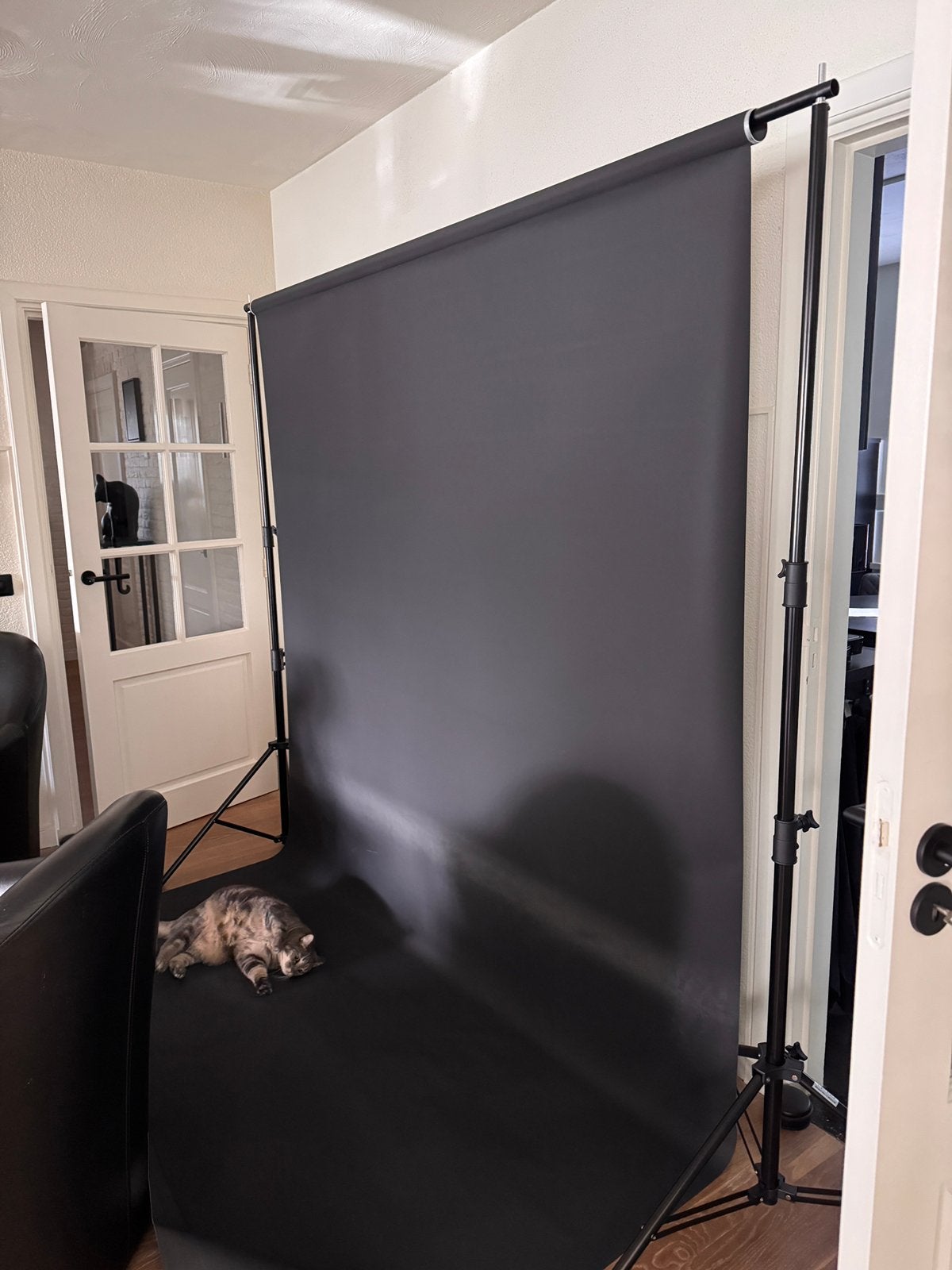 Professioneel achtergronddoek voor foto- en video-opnamen, Audio, Tv en Foto, Ophalen, Falcon Eyes, Inclusief draagtas, Overige typen