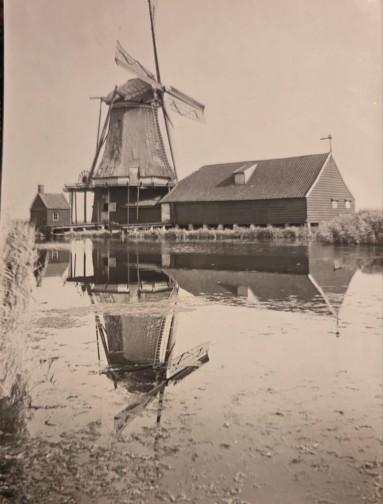 Westzaan molen het Prinsenhof, Verzamelen, Foto's en Prenten, Ophalen of Verzenden, Voor 1940, Zo goed als nieuw, Overige onderwerpen