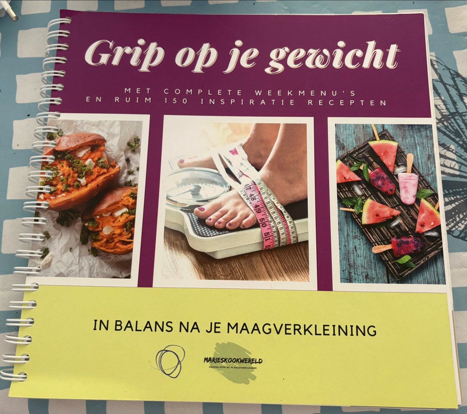 Grip op je gewicht: In balans na je maagverkleining, Ophalen of Verzenden, Zo goed als nieuw, Dieet en Voeding