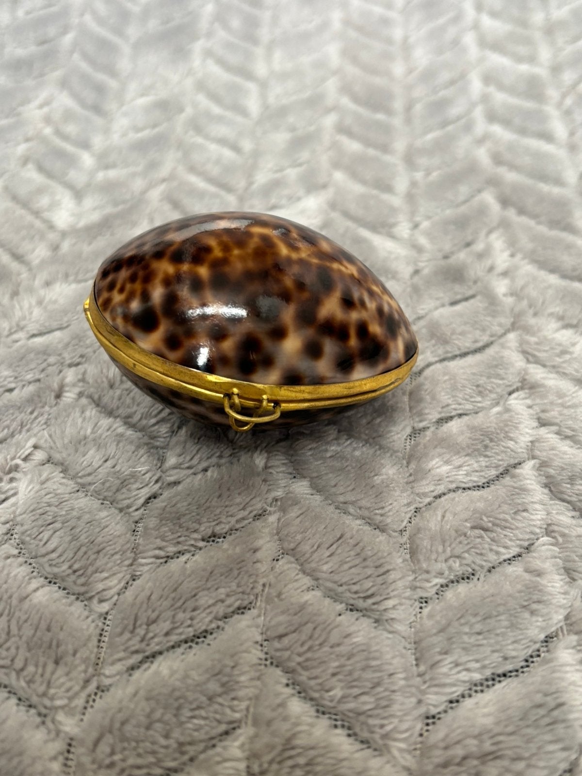 Doosje van Kaurier schelp met messing sluiting cadeau doosje, Antiek en Kunst, Curiosa en Brocante, Ophalen of Verzenden