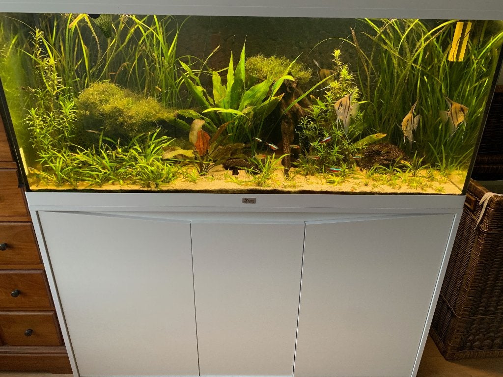 Aqualantis - Volga aquarium 120x40x50 op kast, Ophalen, Gebruikt, Aquatlantis, Inclusief controller