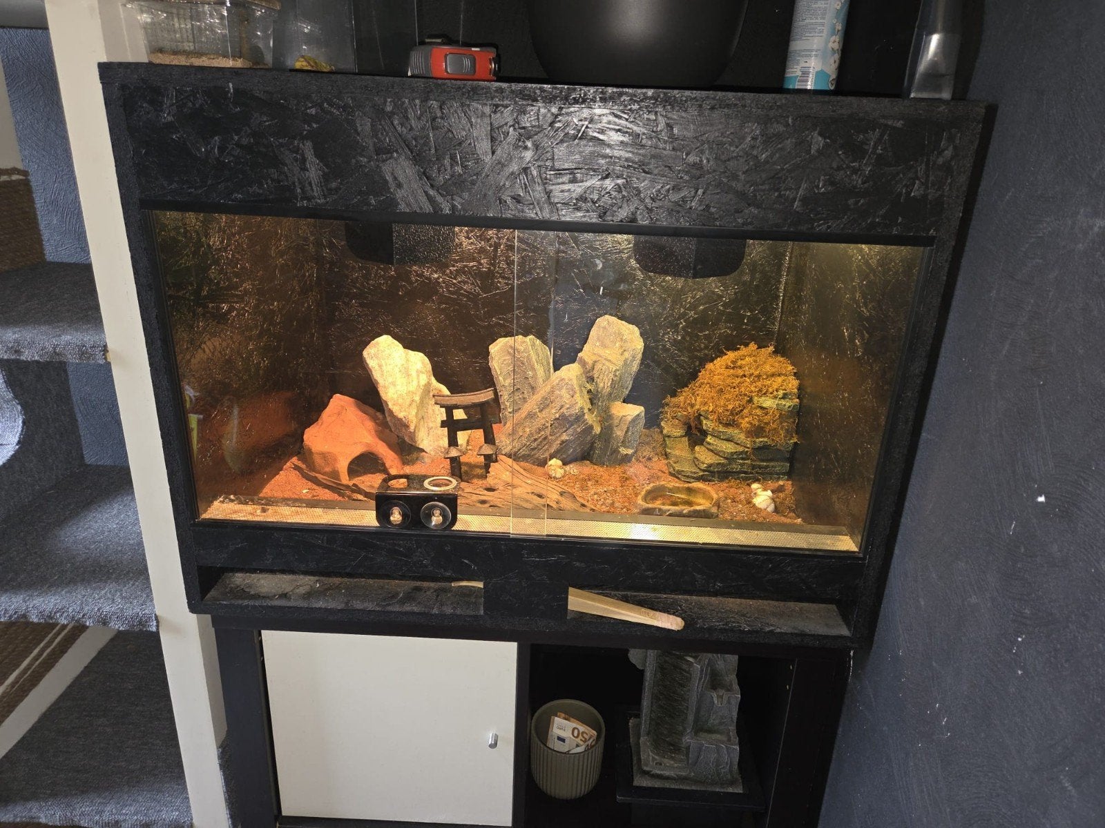 terrarium + luipaard gekko, Ophalen, Gebruikt, Terrarium of Paludarium