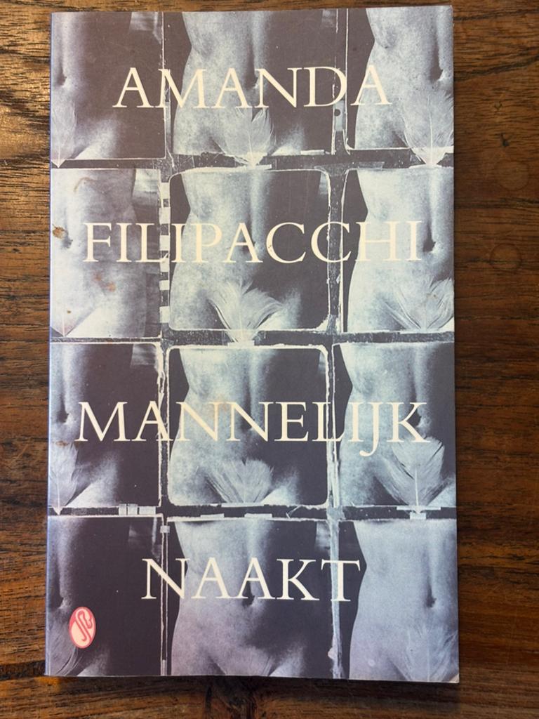 Mannelijk Naakt - Amanda Filipacchi (Boek), Ophalen, Gelezen, Europa overig
