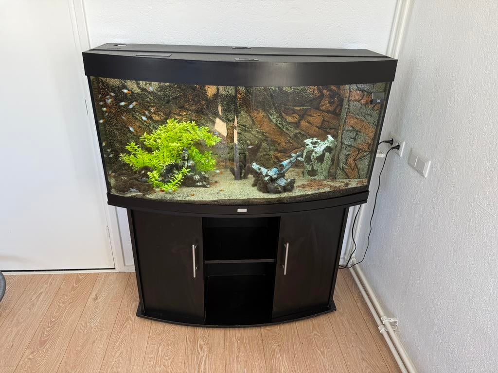 Juwel vision 260, Dieren en Toebehoren, Vissen | Aquaria en Toebehoren, Ophalen of Verzenden, Gebruikt, Leeg aquarium