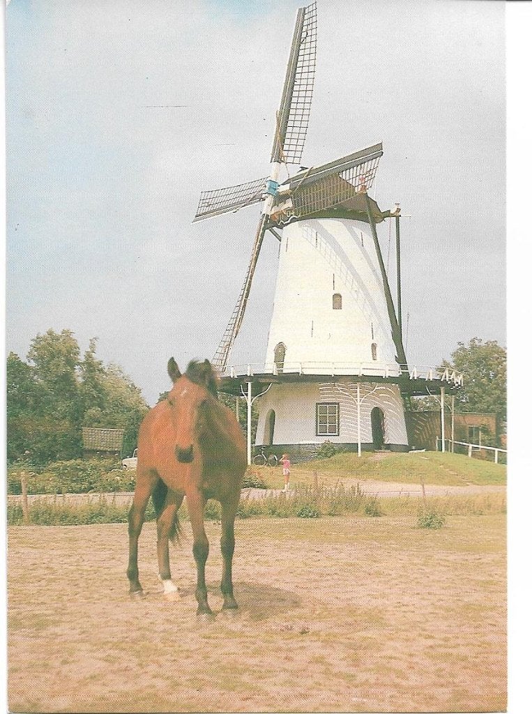Kloetinge, Molen, Verzenden, 1980 tot heden, Ongelopen, Zeeland