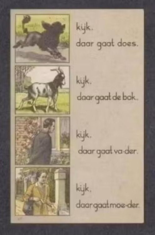 Taalkaart Jetses Wolters Does Bok Vader Moeder., Ophalen of Verzenden, Zo goed als nieuw